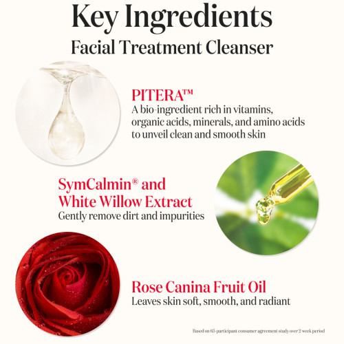 SK-II Facial Treatment Cleanser