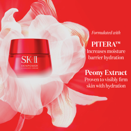 SKINPOWER Advanced Cream Ingredients